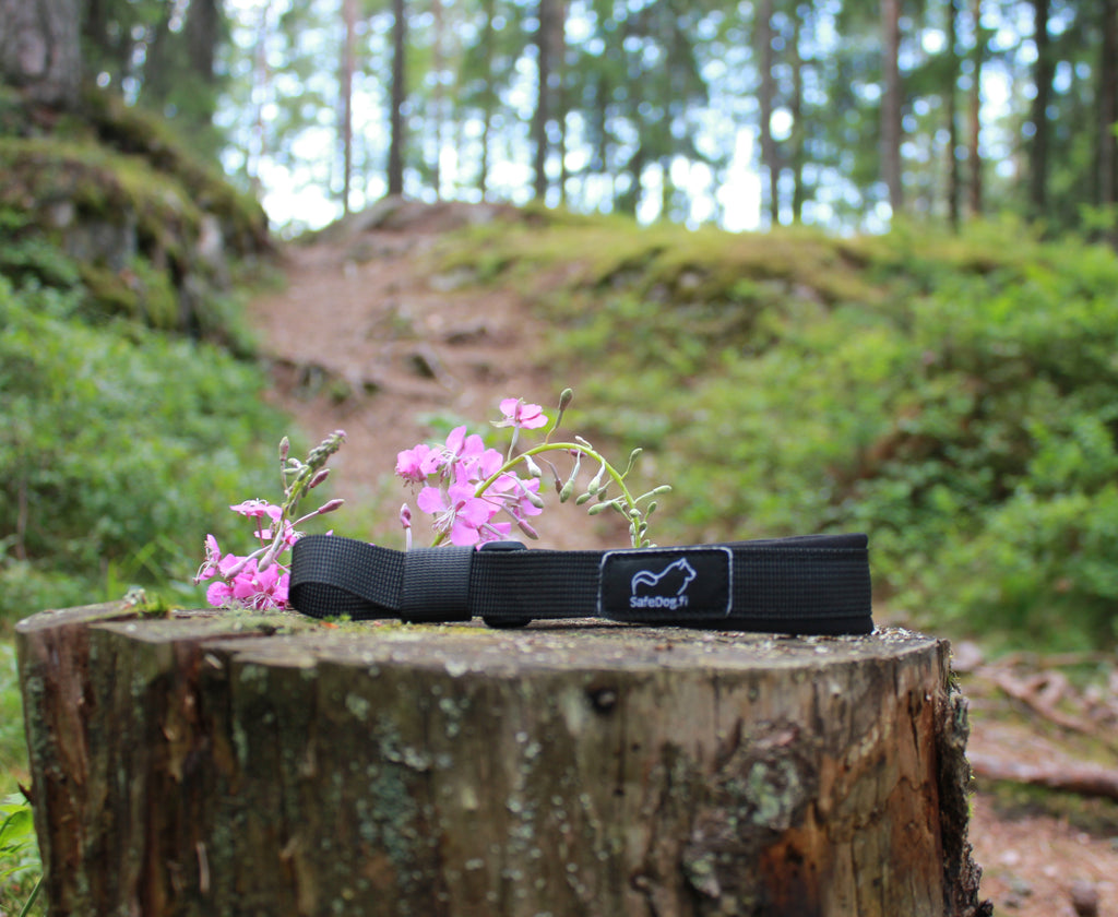 SafeDog Leash (PRE-ORDER)